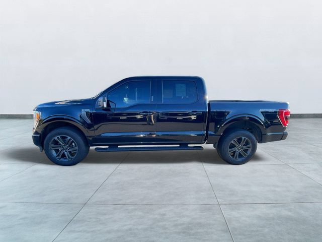 Certified 2023 Ford F150 XLT w/ Equipment Group 302A High AWD/4WD image 4