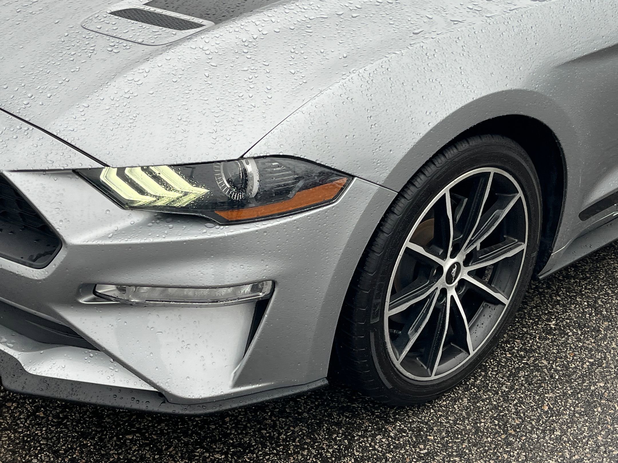 Certified 2021 Ford Mustang Premium w/ Equipment Group 201A image 8