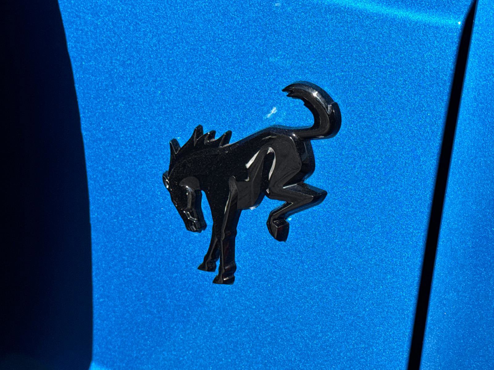 Certified 2023 Ford Bronco Wildtrak image 15