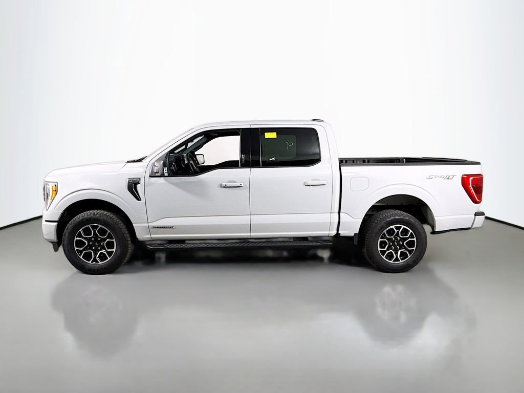 Certified 2023 Ford F150 XLT w/ Equipment Group 302A High image 12