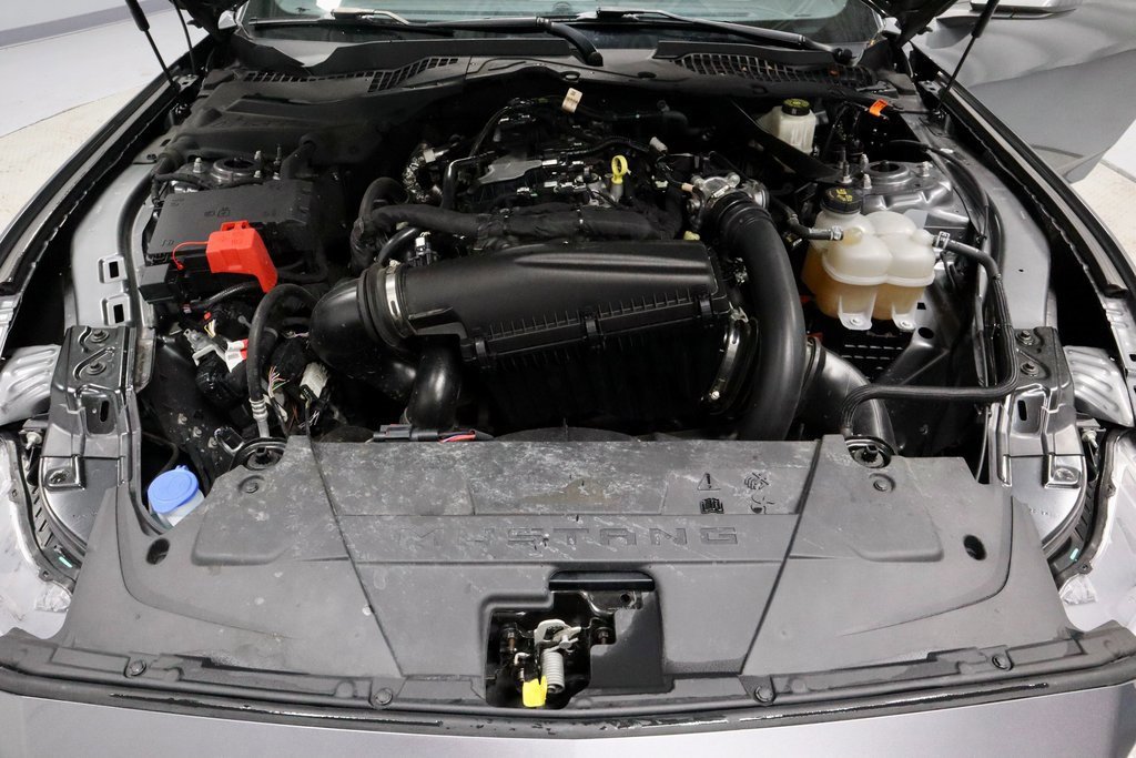 Certified 2024 Ford Mustang Premium image 17