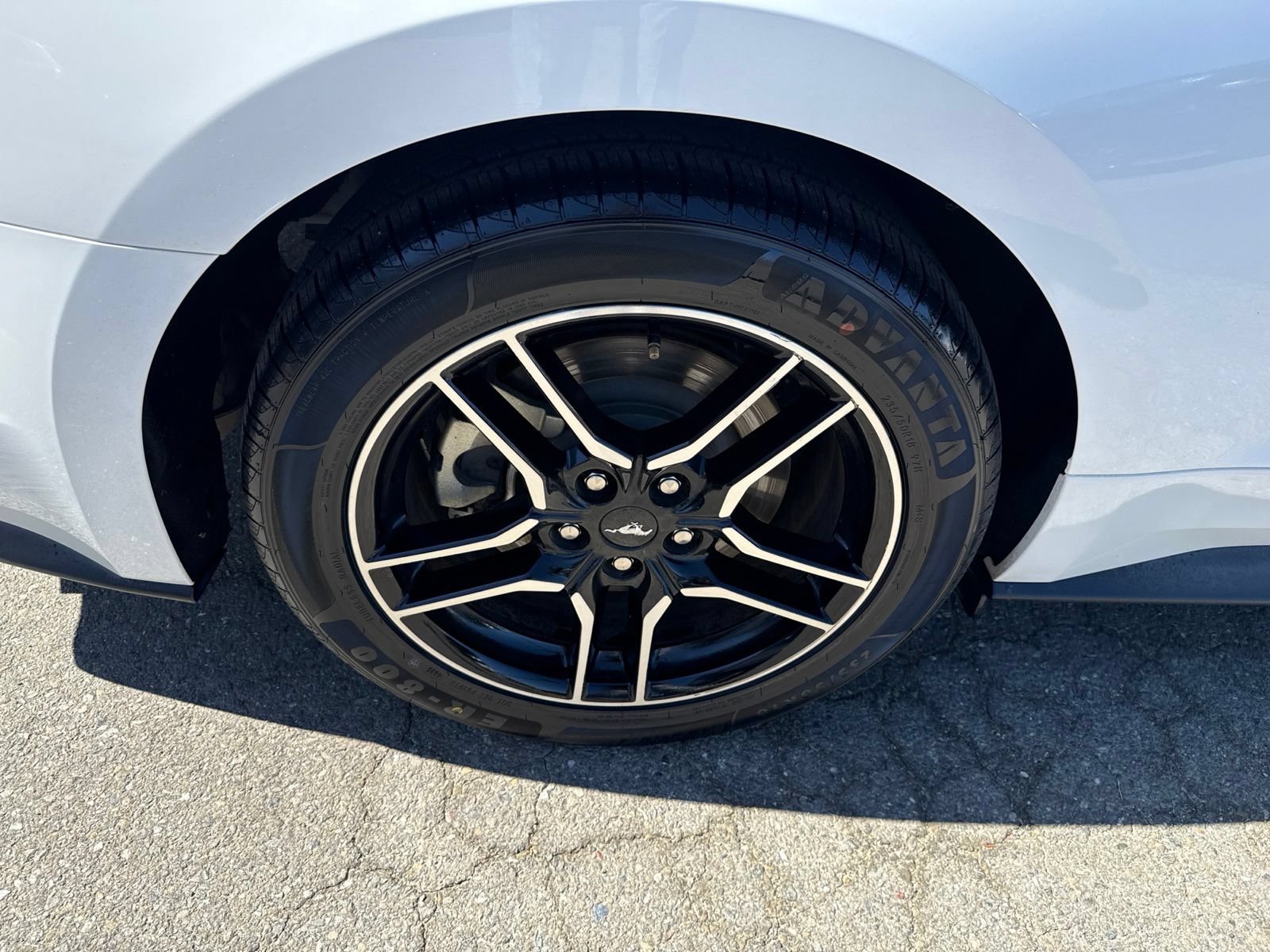 Certified 2019 Ford Mustang GT w/ Equipment Group 301A RWD image 17