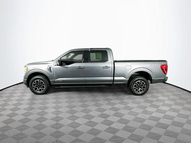 Certified 2023 Ford F150 XLT w/ Equipment Group 302A High AWD/4WD image 8