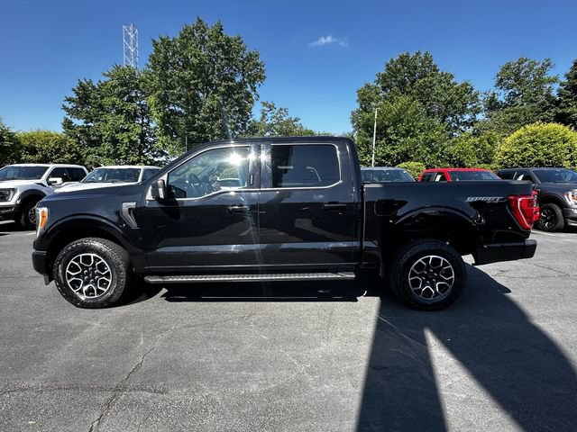 Certified 2023 Ford F150 XLT w/ Equipment Group 302A High AWD/4WD image 8