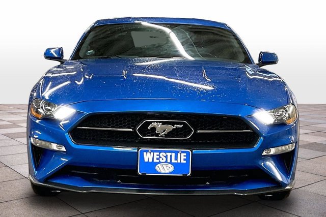 Certified 2019 Ford Mustang Premium w/ Equipment Group 201A RWD image 3