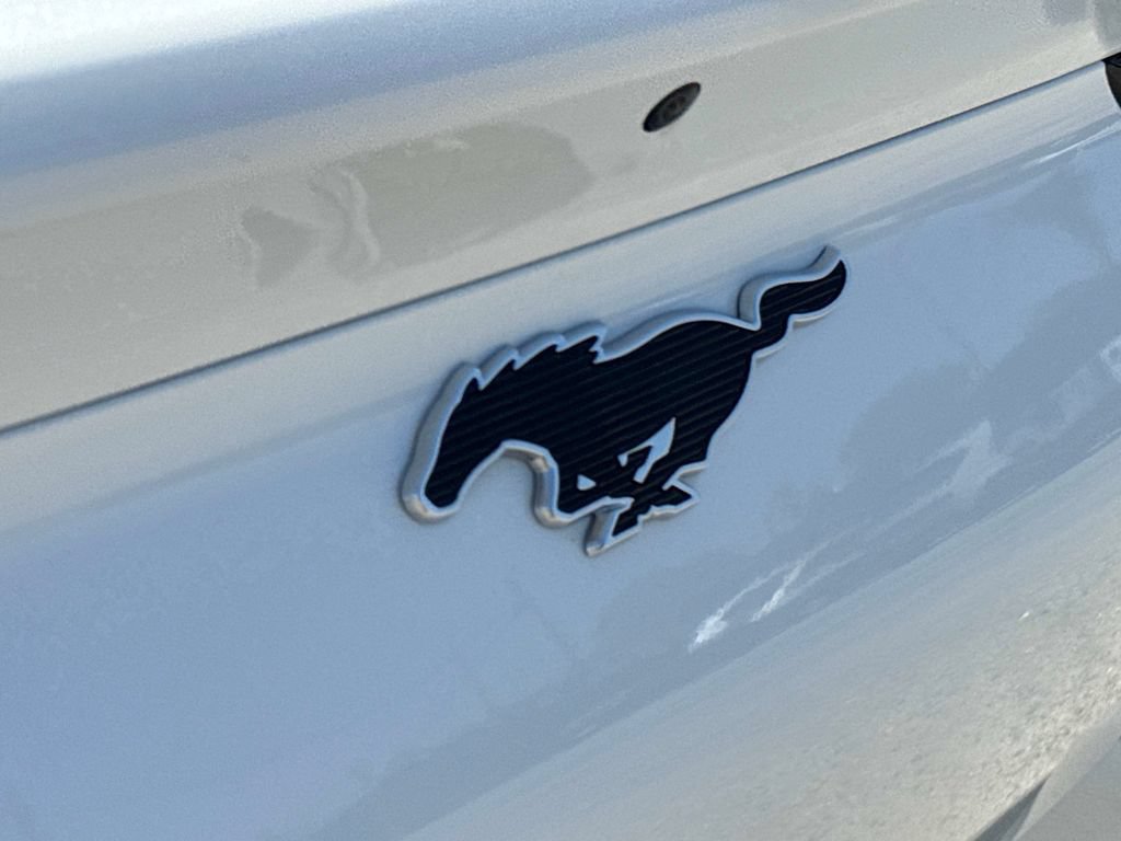 Certified 2023 Ford Mustang Mach-E Premium RWD image 9