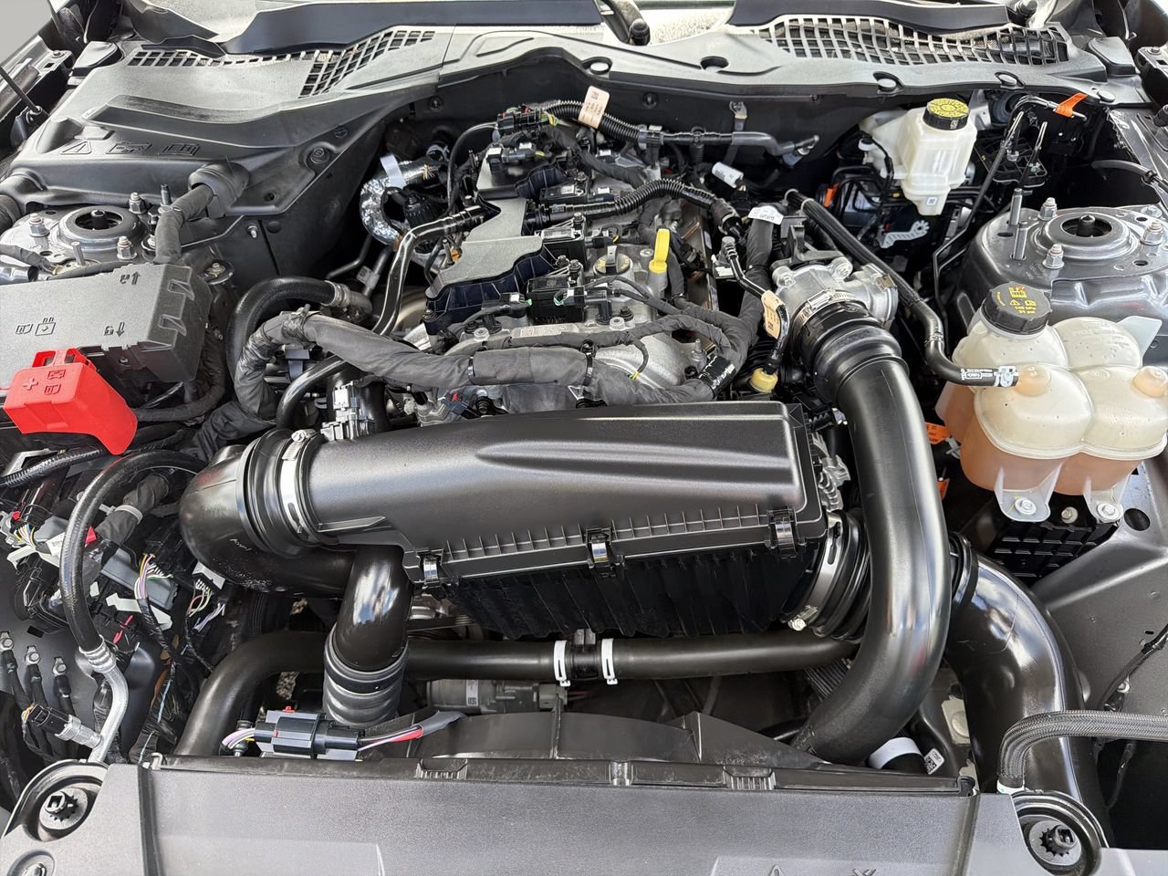 Certified 2024 Ford Mustang Coupe RWD image 10
