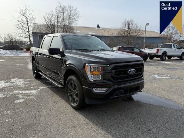 Certified 2023 Ford F150 XLT w/ Equipment Group 302A High image 1