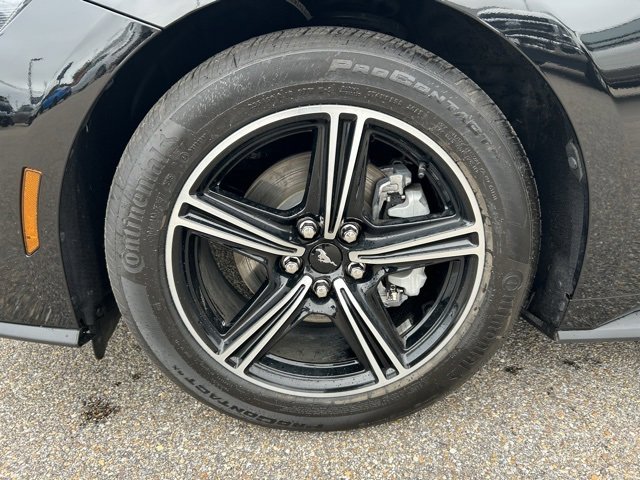 Certified 2025 Ford Mustang Coupe image 12