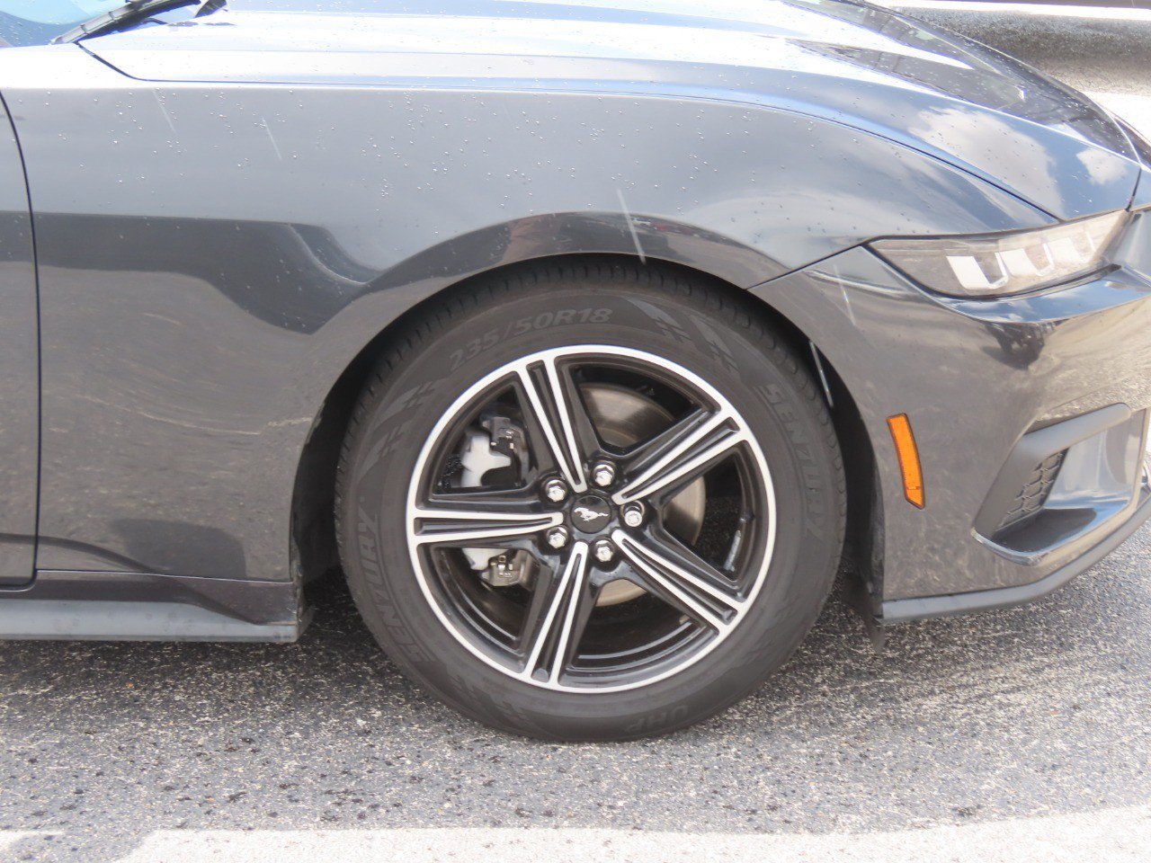 Certified 2024 Ford Mustang Premium RWD image 9