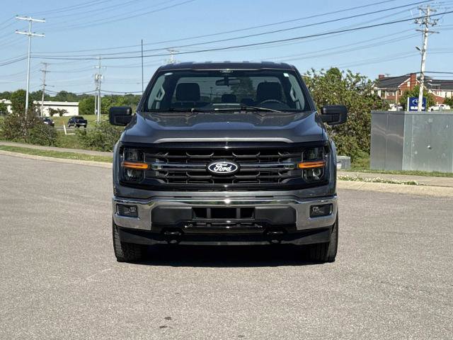 Certified 2025 Ford F150 XLT w/ Equipment Group 301A Standard image 2