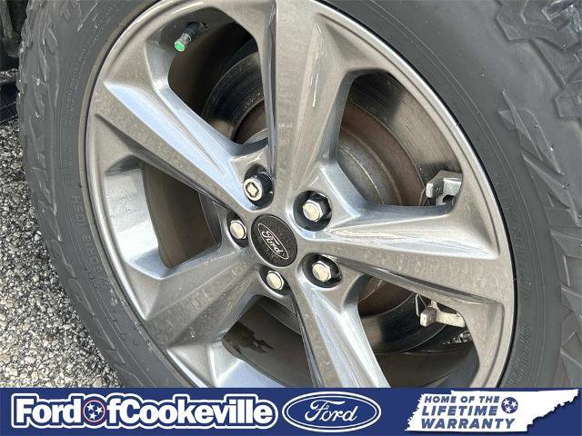 Certified 2022 Ford Edge SEL w/ Sport Appearance Package image 13