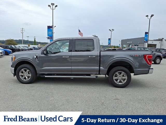Certified 2023 Ford F150 XLT w/ Equipment Group 302A High image 6