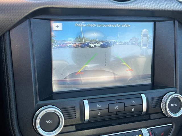 Certified 2019 Ford Mustang GT Premium w/ Equipment Group 401A image 11