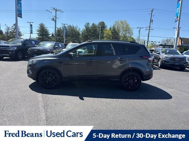 Certified 2017 Ford Escape SE w/ Equipment Group 201A AWD/4WD image 4
