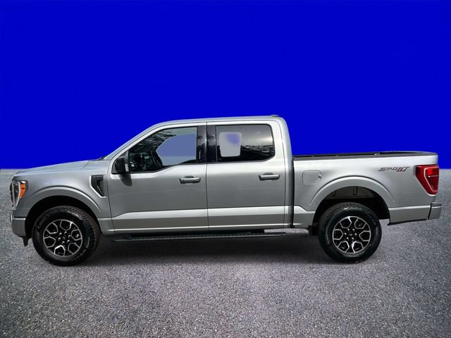 Certified 2023 Ford F150 XLT w/ Equipment Group 302A High AWD/4WD image 6