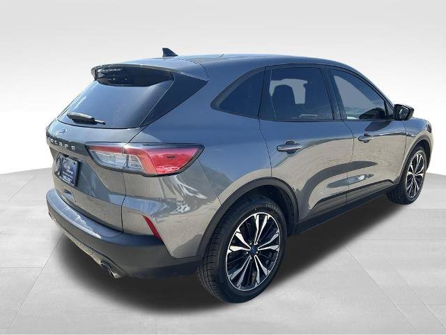 Certified 2022 Ford Escape SE w/ SE Sport Appearance Package FWD image 6