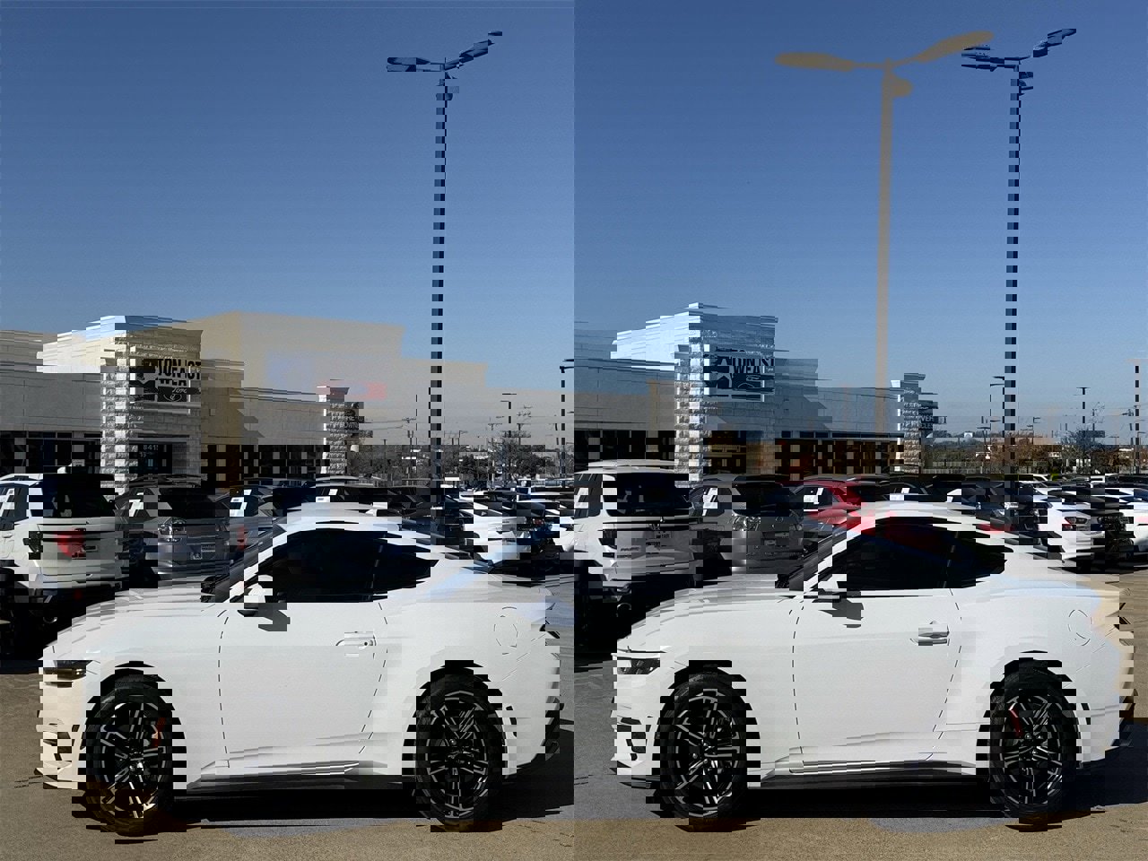 Certified 2025 Ford Mustang Coupe image 3