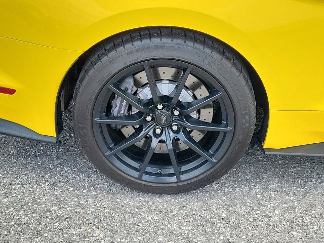 Certified 2017 Ford Mustang Shelby GT350 RWD image 6