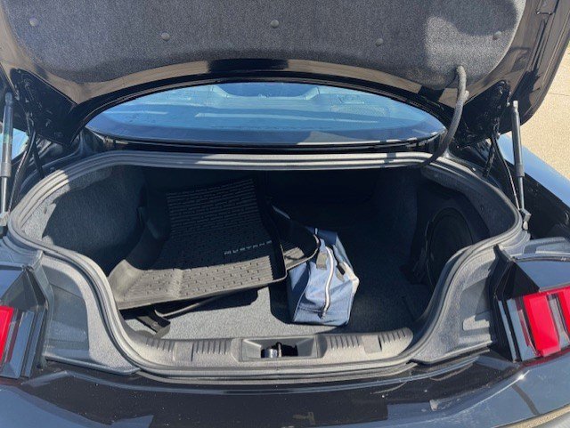 Certified 2025 Ford Mustang Dark Horse w/ Security Package image 23