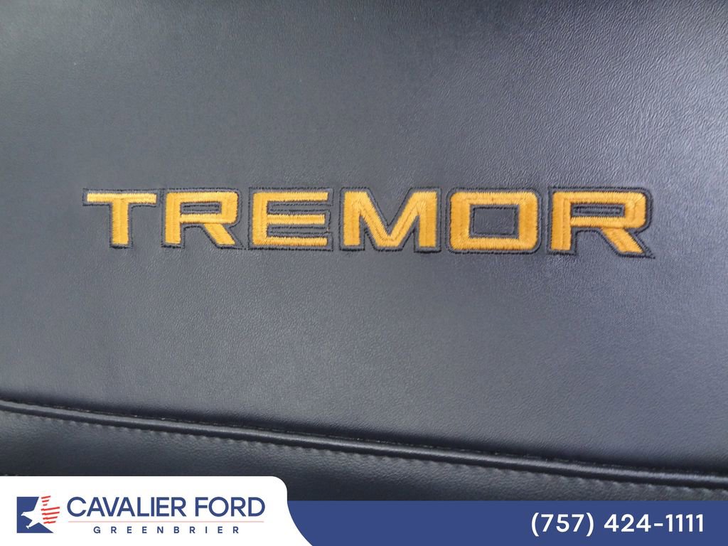 Certified 2025 Ford Expedition Tremor AWD/4WD image 8