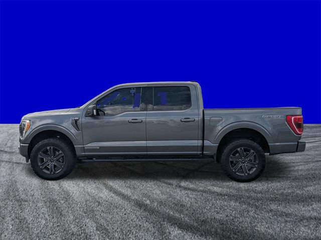 Certified 2023 Ford F150 XLT w/ Equipment Group 302A High AWD/4WD image 6