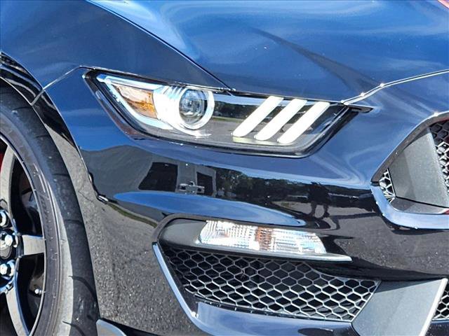 Certified 2019 Ford Mustang Shelby GT350R w/ GT350R Equipment Group 920A RWD image 7
