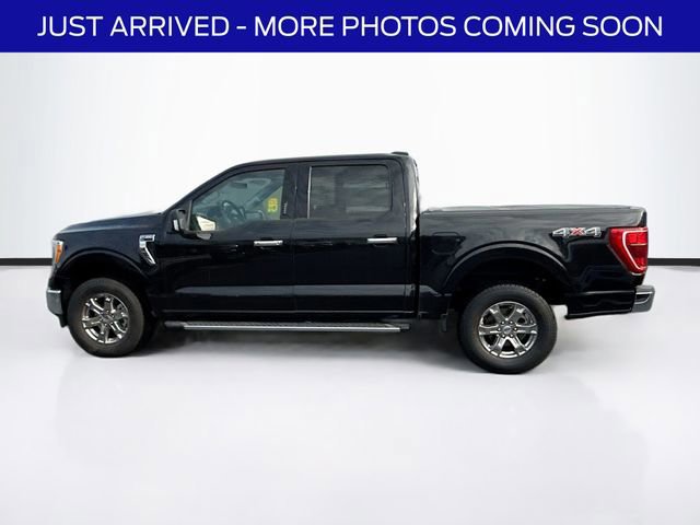 Certified 2021 Ford F150 XLT w/ Equipment Group 302A High image 2