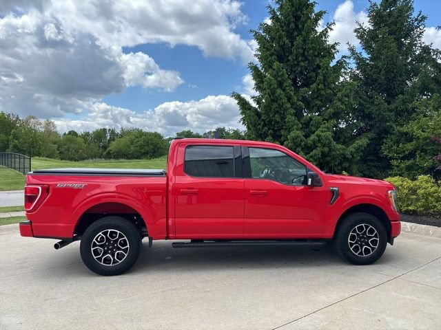 Certified 2023 Ford F150 XLT w/ Equipment Group 302A High AWD/4WD image 6