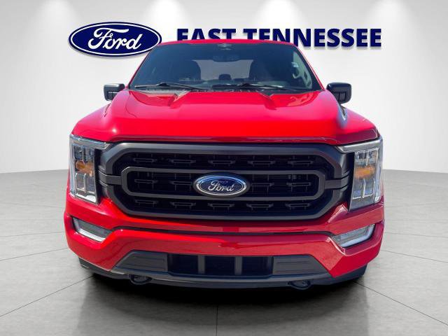 Certified 2023 Ford F150 XLT w/ Equipment Group 302A High image 8