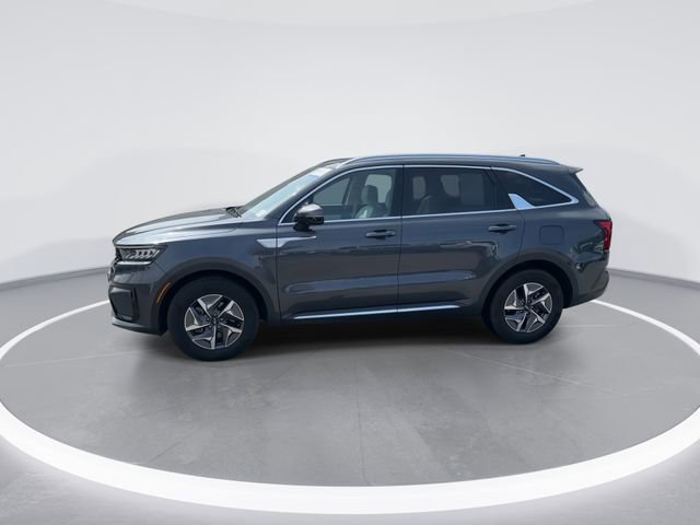 Used 2022 Kia Sorento EX w/ Panoramic Sunroof Package FWD image 3