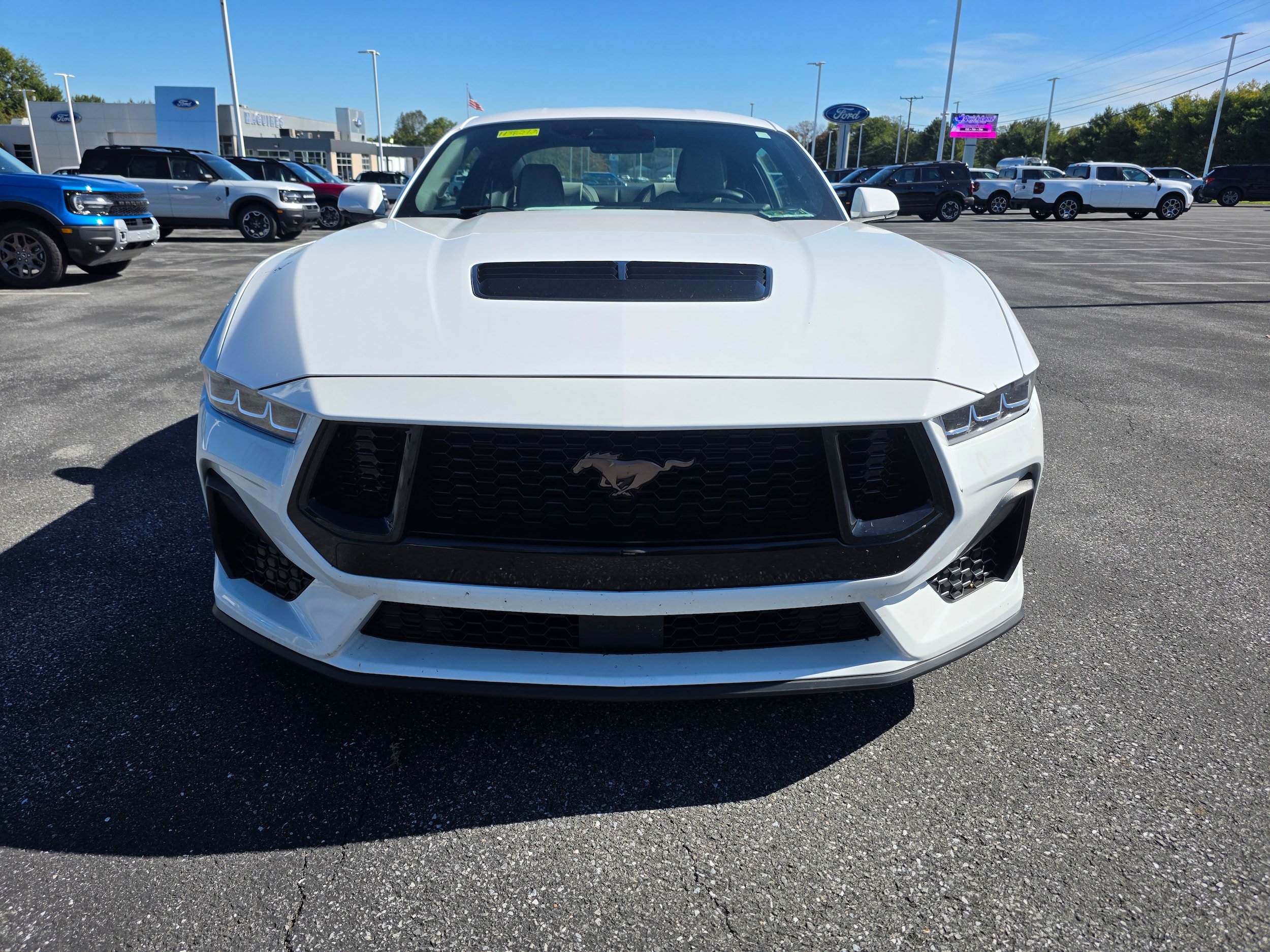 Certified 2024 Ford Mustang GT Premium RWD image 8