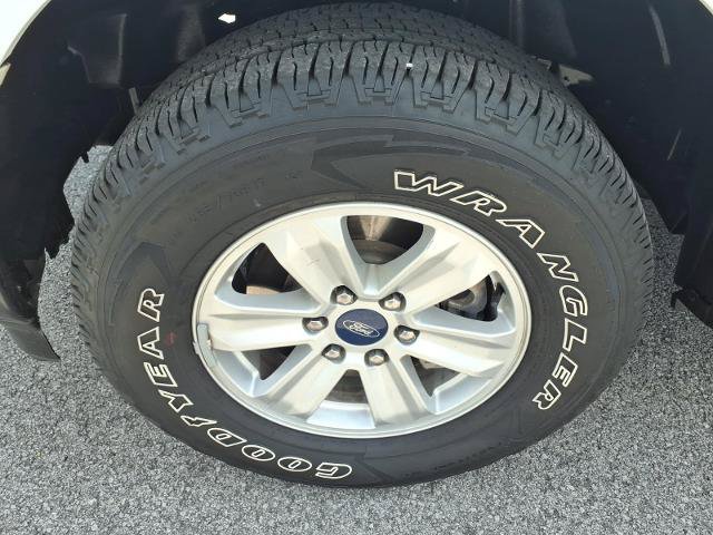 Certified 2021 Ford F150 XL w/ Equipment Group 101A High AWD/4WD image 5