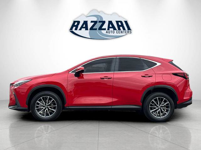 Used 2023 Lexus NX 350 AWD w/ Cold Area Package image 6