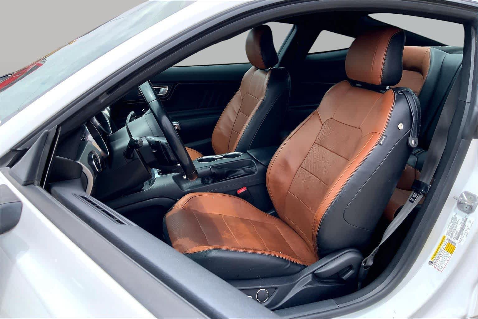 Certified 2019 Ford Mustang Premium RWD image 8