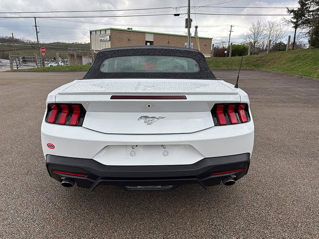 Certified 2024 Ford Mustang Premium RWD image 3