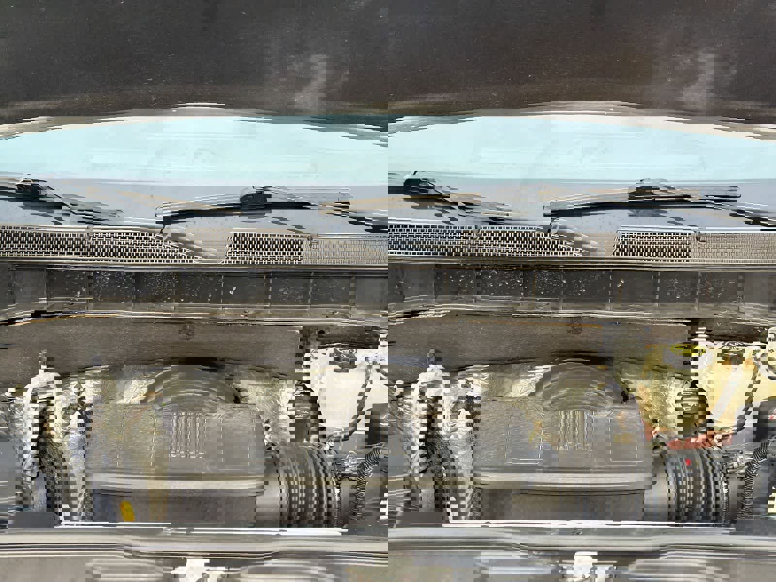 Used 2020 Chevrolet Silverado 1500 LT w/ All-Star Edition image 15