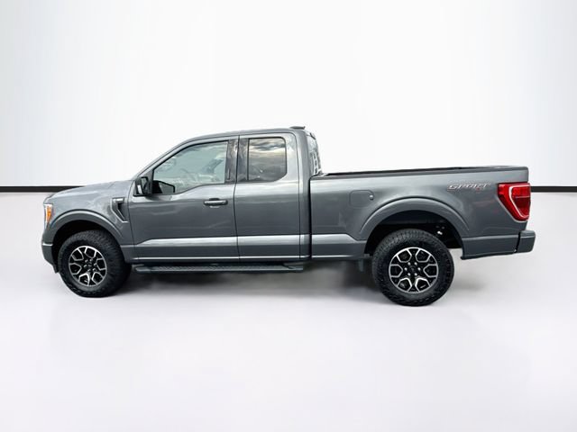 Certified 2023 Ford F150 XLT w/ Equipment Group 302A High AWD/4WD image 6