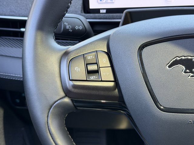 Certified 2024 Ford Mustang Mach-E Premium RWD image 19