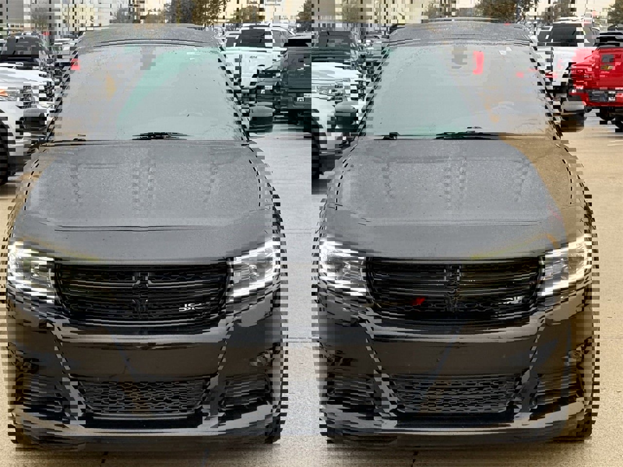 Used 2021 Dodge Charger SXT w/ Blacktop Package image 6