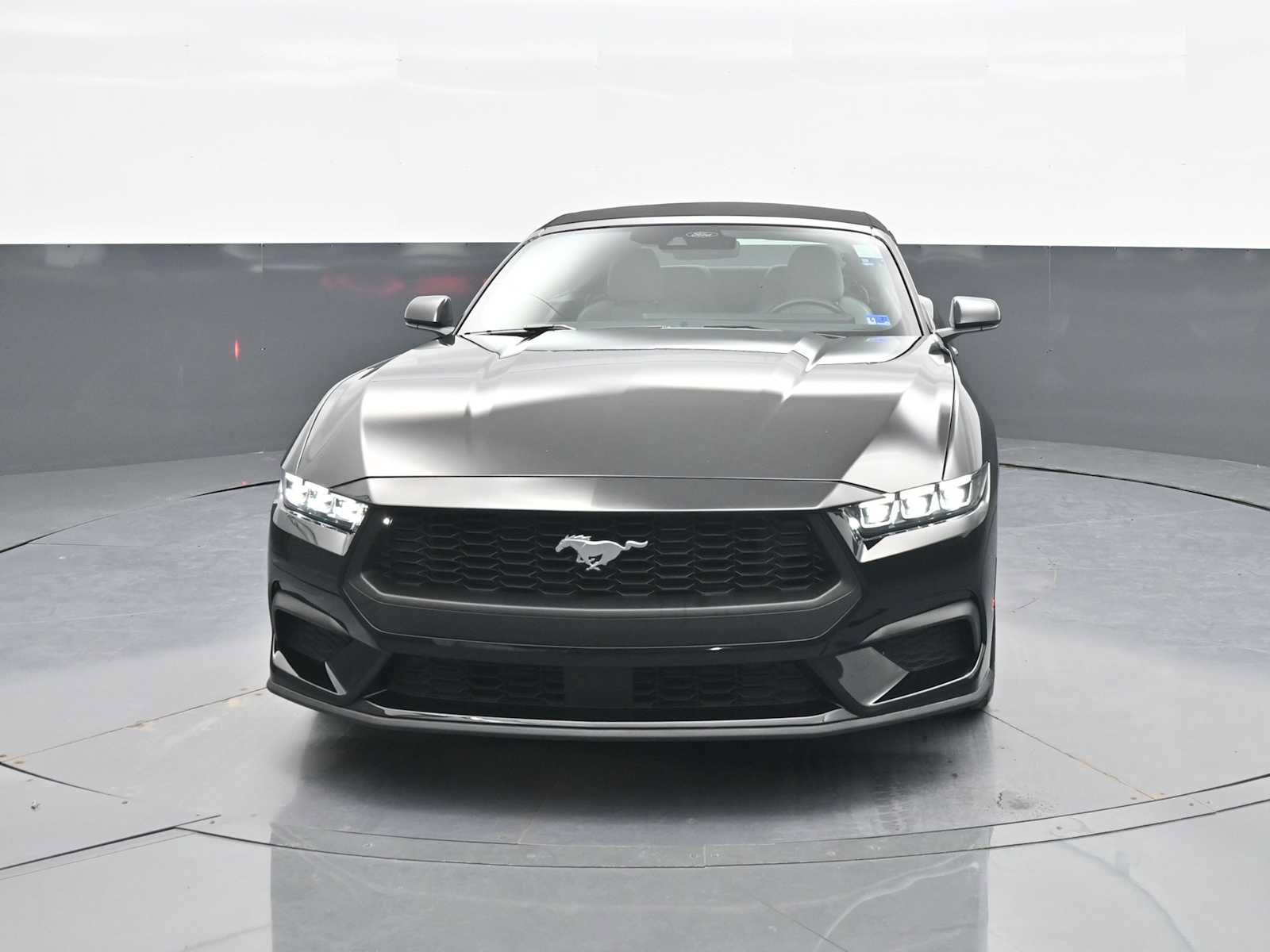 Certified 2025 Ford Mustang Premium RWD image 3