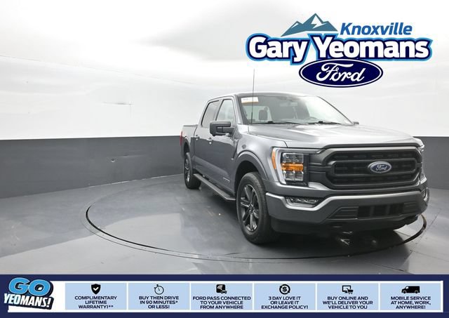 Certified 2023 Ford F150 XLT w/ Equipment Group 302A High