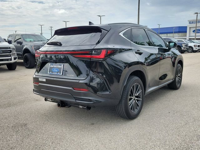 Used 2024 Lexus NX 250 FWD w/ Cold Area Package image 6