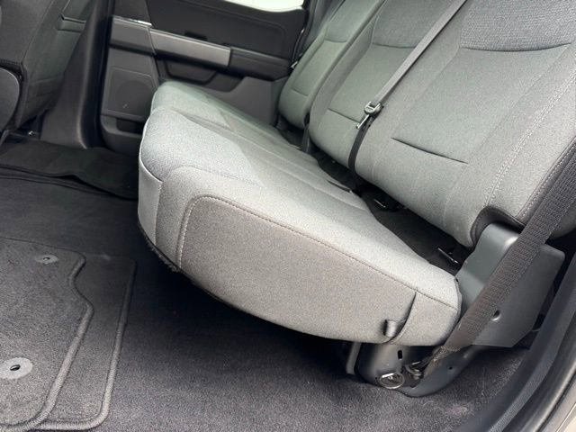 Certified 2025 Ford F150 XLT w/ Equipment Group 301A Standard image 15