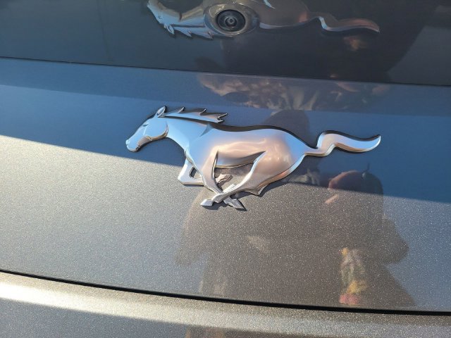 Certified 2024 Ford Mustang Premium RWD image 10