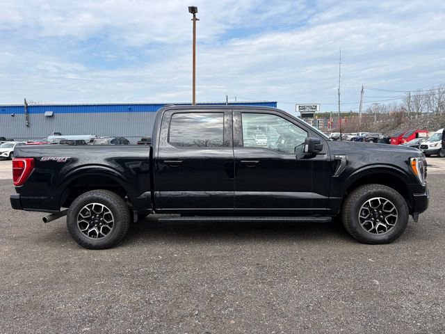 Certified 2023 Ford F150 XLT w/ Equipment Group 302A High image 4