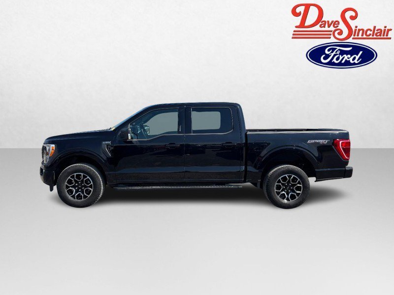 Certified 2023 Ford F150 XLT w/ Equipment Group 302A High AWD/4WD image 10
