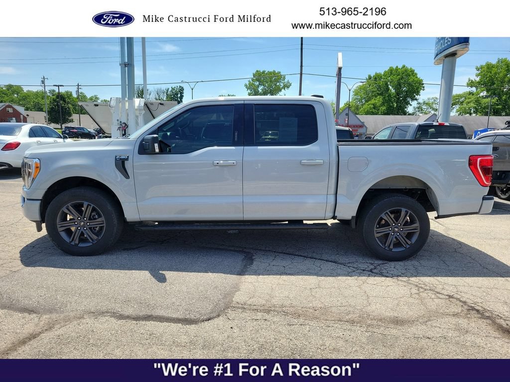 Certified 2023 Ford F150 XLT w/ Equipment Group 302A High AWD/4WD image 2
