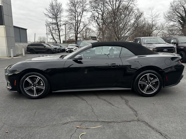 Certified 2025 Ford Mustang Premium image 2