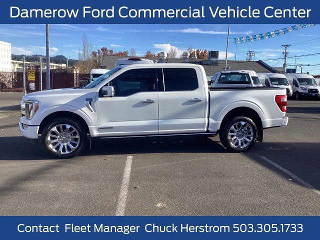 Certified 2023 Ford F150 Limited image 2